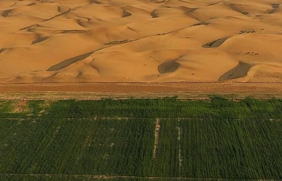 聚合氯化鋁和聚丙烯酰胺哪個能防沙固沙？