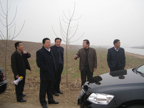 商丘大沙河砷污染治理